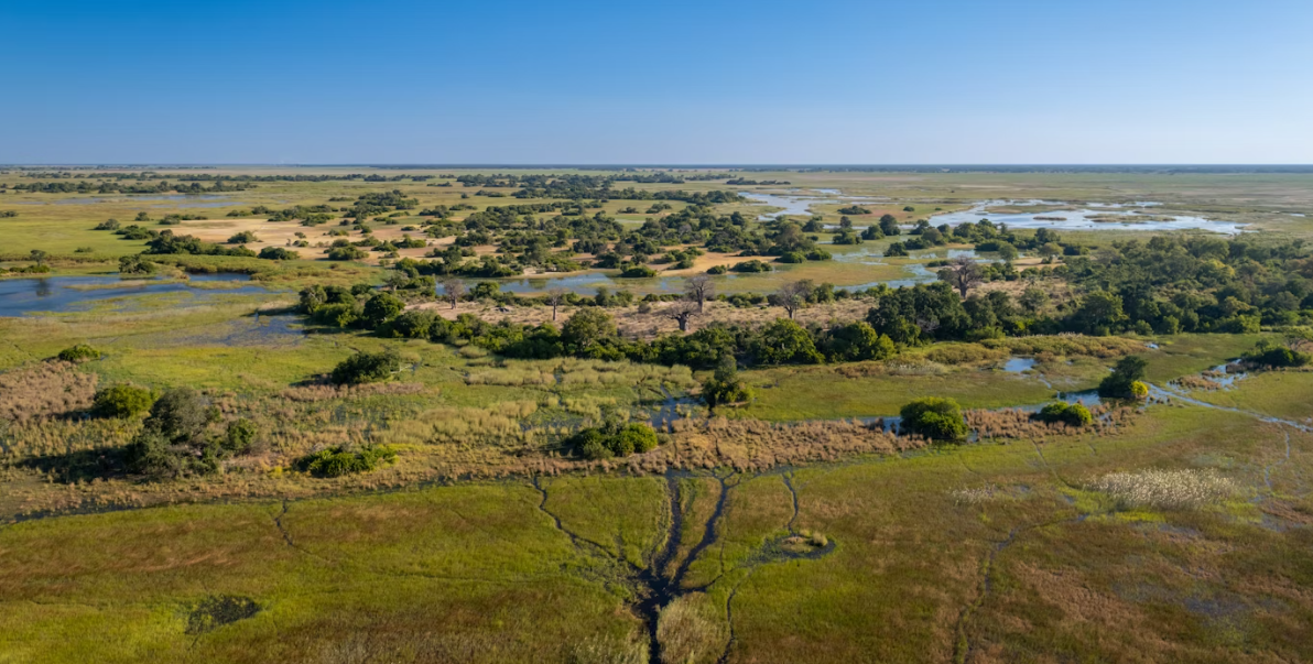 Okavango Delta, North-Western Botswana, Botswana